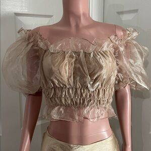 Hot & Delicious Tan Sheer puff sleeve crop top Blouse